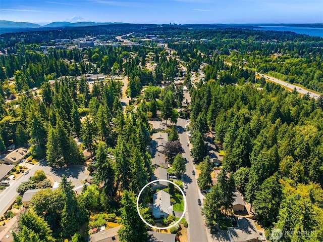 14076 117th Ave NE, Kirkland, WA 98034 - photo 26