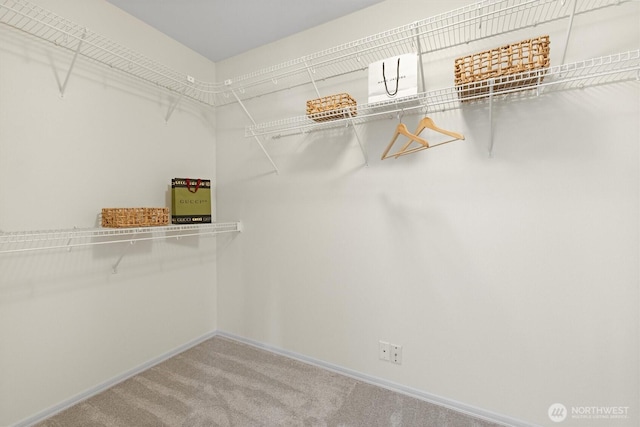 13116 NE 117th St, Kirkland, WA 98034 - photo 22