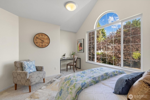 13116 NE 117th St, Kirkland, WA 98034 - photo 24