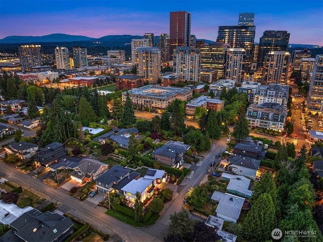1288 106th Pl NE, Bellevue, WA 98004 - photo 40