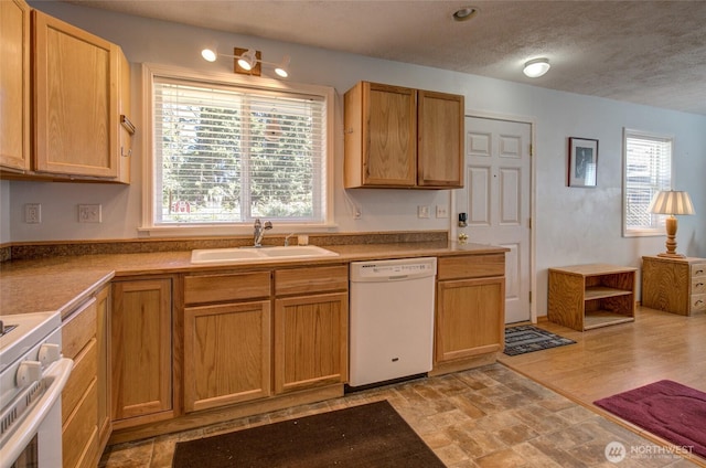 649 Sollecks Ave SE, Ocean Shores, WA 98569 - photo 5