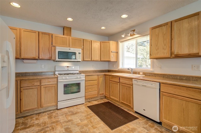649 Sollecks Ave SE, Ocean Shores, WA 98569 - photo 6