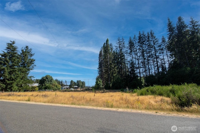 3411 83rd Ave SW, Olympia, WA 98512 - photo 3