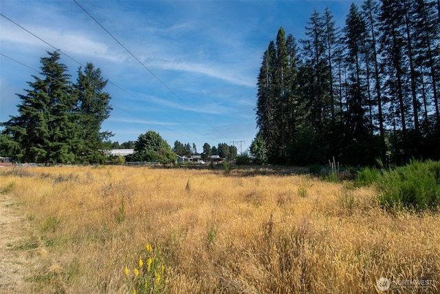 3411 83rd Ave SW, Olympia, WA 98512 - photo 5