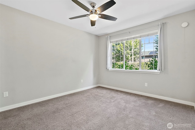 4316 NE 5th Ct Unit 106, Renton, WA 98059 - photo 24