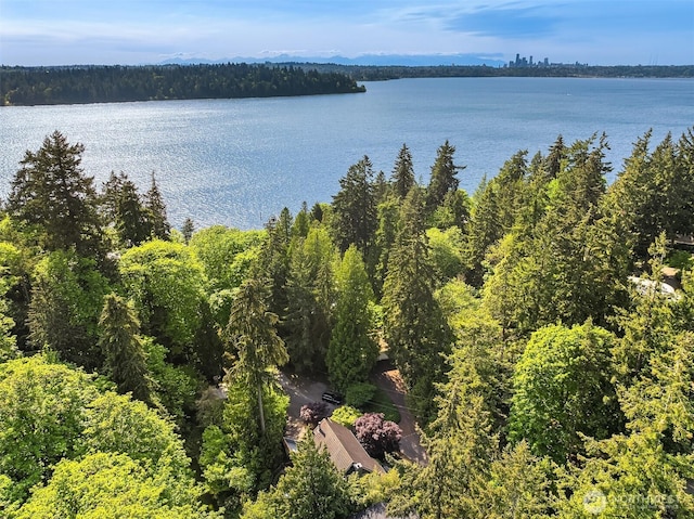 5047 84th Ave SE, Mercer Island, WA 98040 - photo 34
