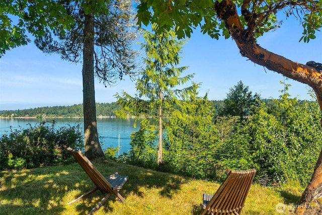3224 Fishtrap Loop NE, Olympia, WA 98506 - photo 3