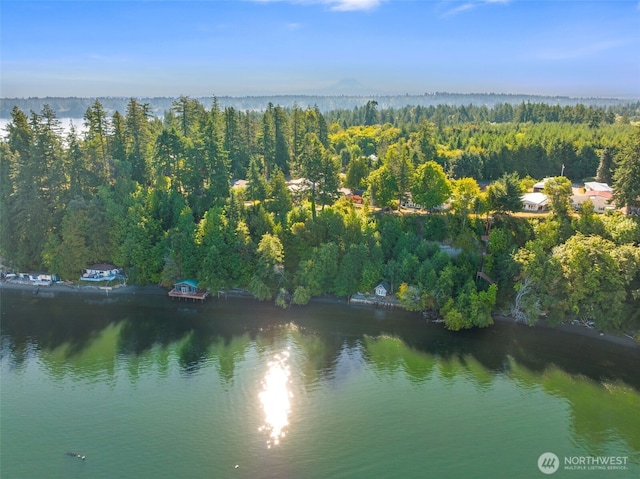 3224 Fishtrap Loop NE, Olympia, WA 98506 - photo 5