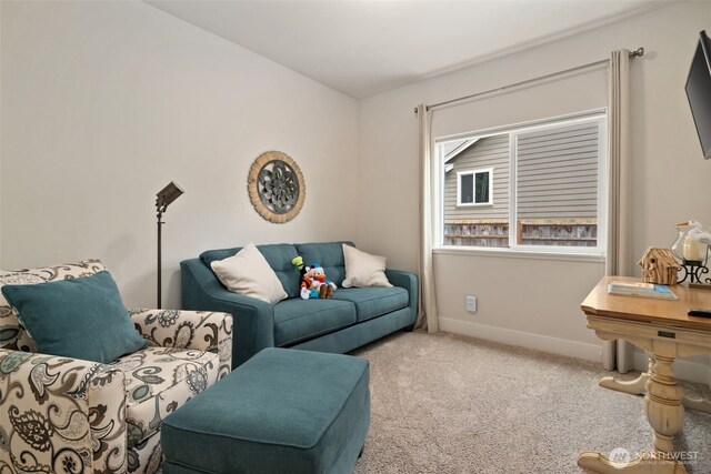 251 Teal Ct, Port Orchard, WA 98367 - photo 22