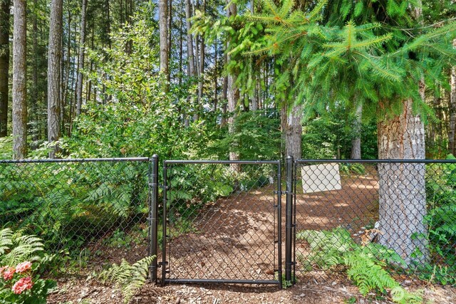 251 Teal Ct, Port Orchard, WA 98367 - photo 31
