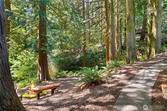 2 White Mountain Ln, Bellingham, WA 98229 - photo 37
