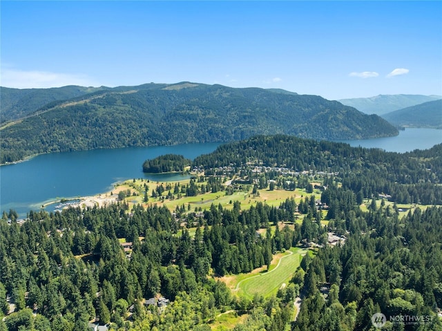 2 White Mountain Ln, Bellingham, WA 98229 - photo 39
