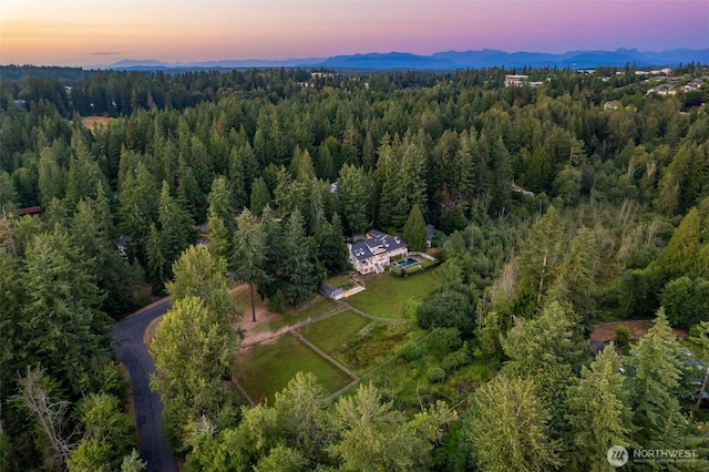 21819 SE 13th Pl, Sammamish, WA 98075 - photo 40