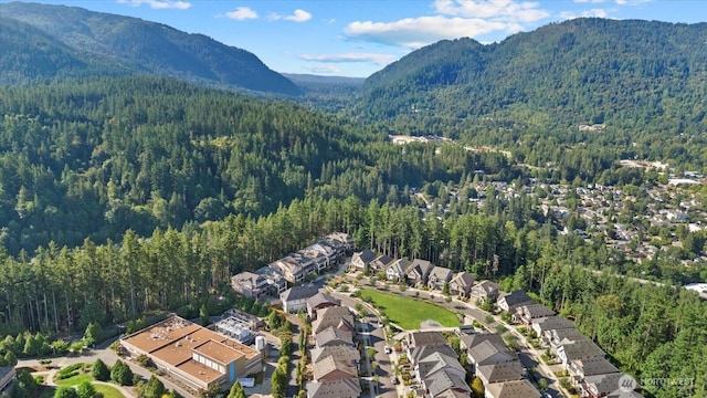 444 6th Ln NE, Issaquah, WA 98029 - photo 21