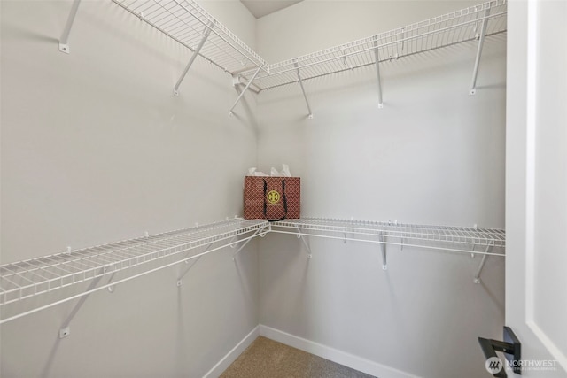 26656 NE 143rd Pl, Duvall, WA 98019 - photo 22