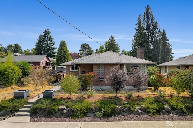 7716 38th Ave SW, Seattle, WA 98126 - photo 34