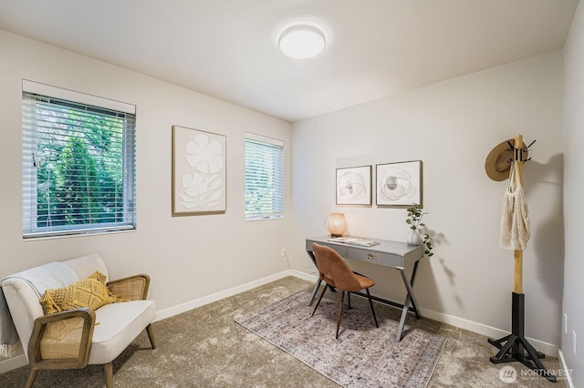 1807 SW 96th Ln, Seattle, WA 98106 - photo 4