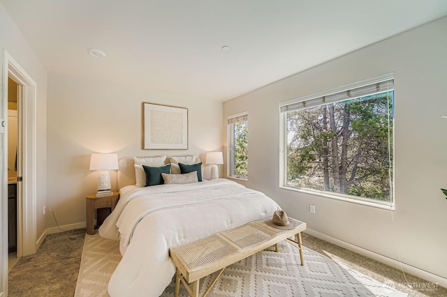 1807 SW 96th Ln, Seattle, WA 98106 - photo 18