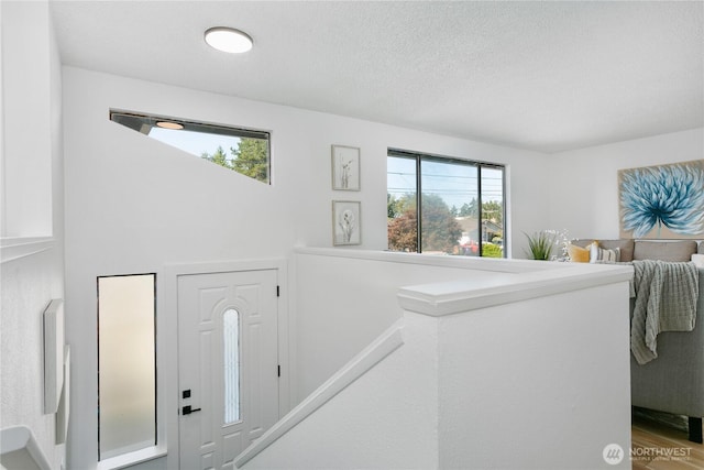 1006 E 68th St, Tacoma, WA 98404 - photo 5
