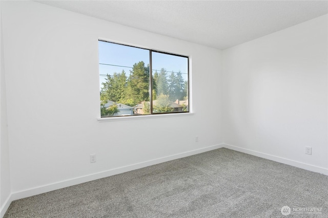 1006 E 68th St, Tacoma, WA 98404 - photo 23