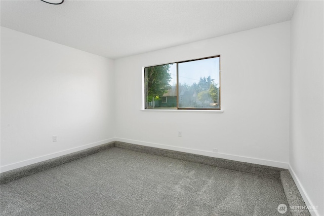 1006 E 68th St, Tacoma, WA 98404 - photo 31