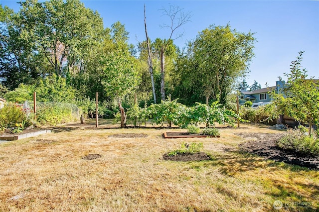 1006 E 68th St, Tacoma, WA 98404 - photo 36