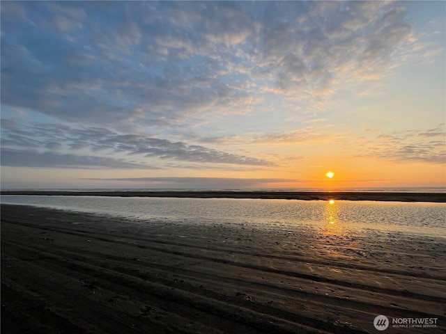 163 Hydrangea Cir SW, Ocean Shores, WA 98569 - photo 21