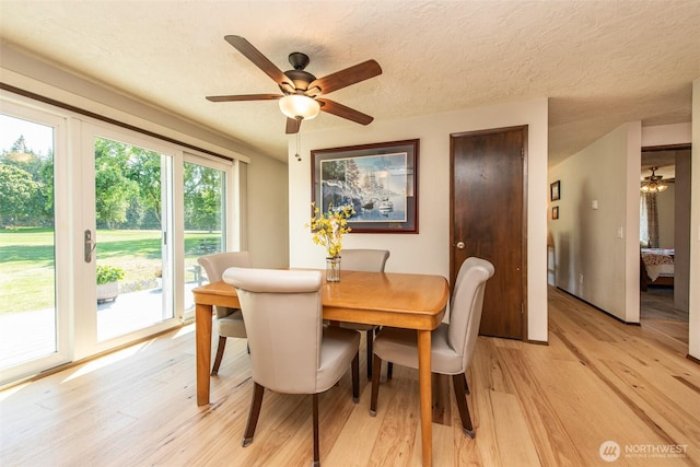 191 Meadow Lark Ln, Sequim, WA 98382 - photo 9