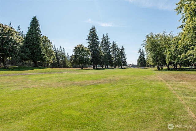 191 Meadow Lark Ln, Sequim, WA 98382 - photo 20