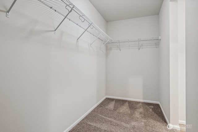 2902 6th Ave NE Unit 29, Olympia, WA 98506 - photo 18