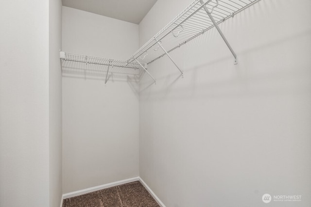 2902 6th Ave NE Unit 29, Olympia, WA 98506 - photo 22