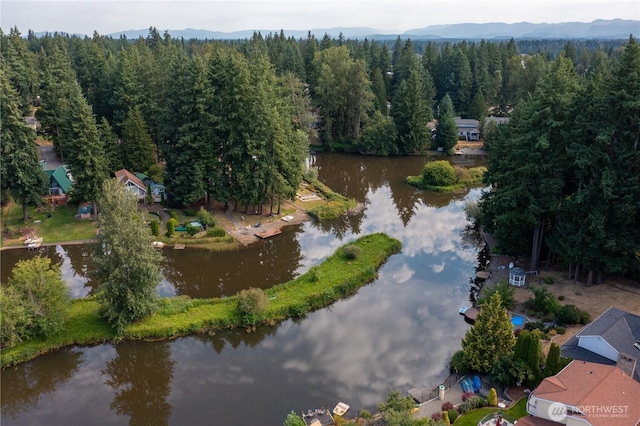 19107 Bonney Lake Blvd E, Bonney Lake, WA 98391 - photo 30