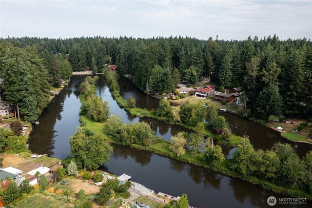 19107 Bonney Lake Blvd E, Bonney Lake, WA 98391 - photo 31