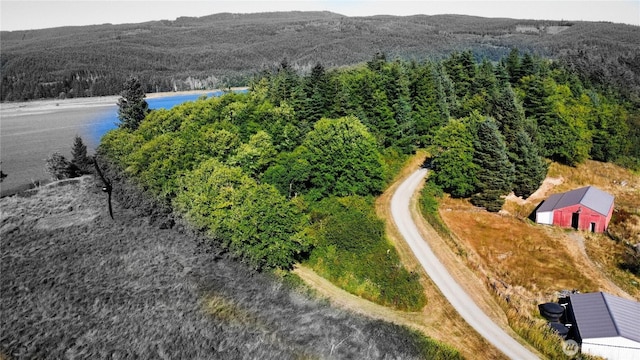 752 Parapala, Naselle, WA 98638 - photo 4
