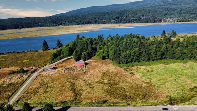 752 Parapala, Naselle, WA 98638 - photo 5