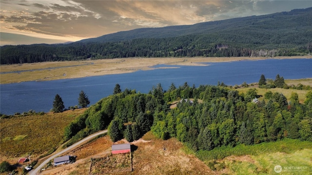 752 Parapala, Naselle, WA 98638 - photo 17