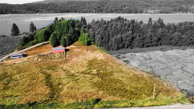 752 Parapala, Naselle, WA 98638 - photo 18
