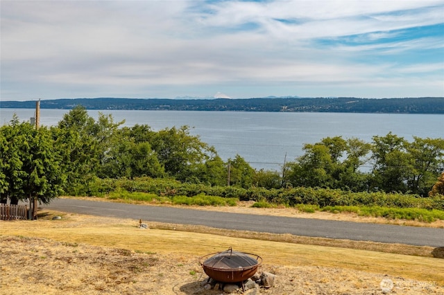 2217 Cranes Landing Dr, Greenbank, WA 98253 - photo 5