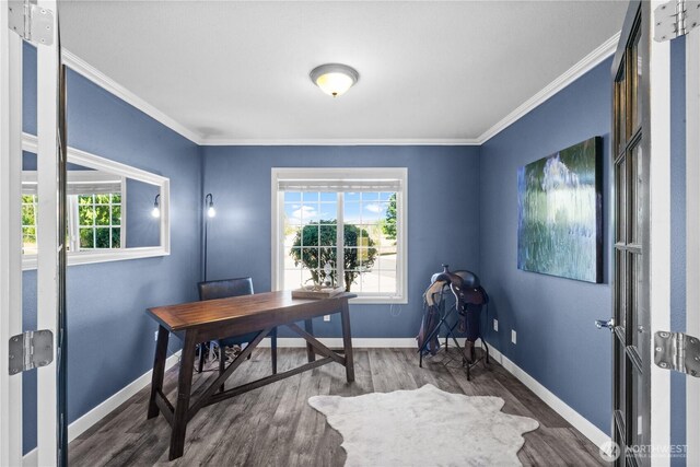 28314 164th Ave E, Graham, WA 98338 - photo 10
