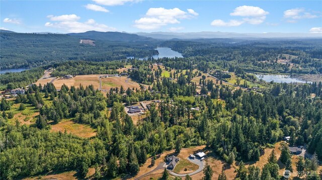 28314 164th Ave E, Graham, WA 98338 - photo 30