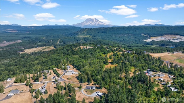 28314 164th Ave E, Graham, WA 98338 - photo 31