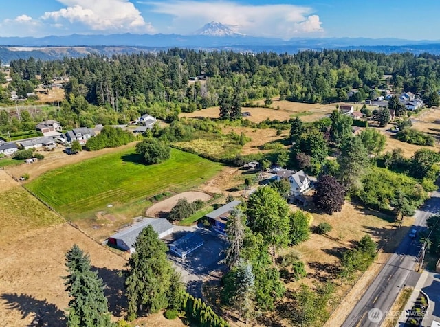 3723 114th Ave E, Edgewood, WA 98372 - photo 1