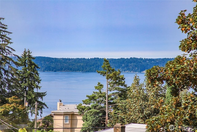 3939 SW Rose St, Seattle, WA 98136 - photo 23