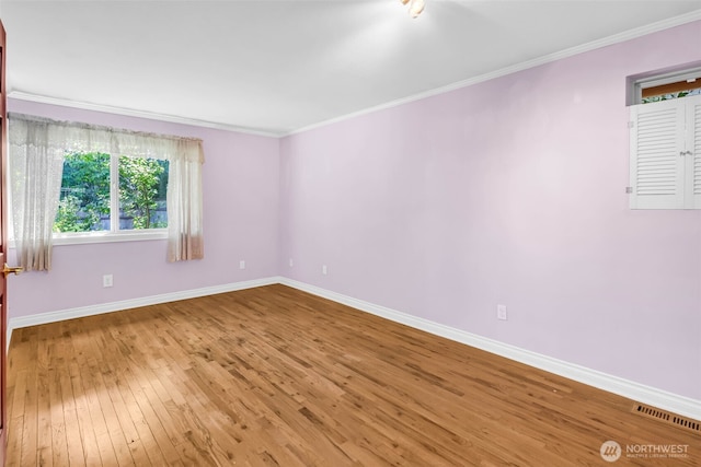 4059 SW 321st St, Federal Way, WA 98023 - photo 24