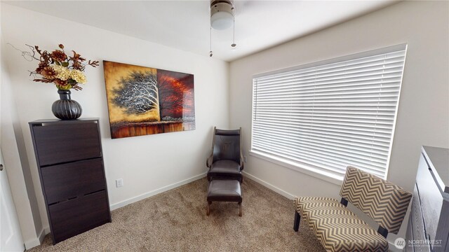 419 Penny Ave, Granite Falls, WA 98252 - photo 26