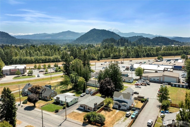 2040 Roosevelt Ave, Enumclaw, WA 98022 - photo 33