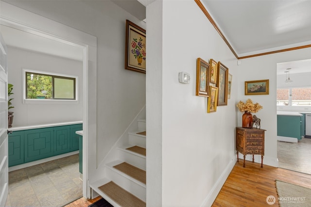 4815 S I St, Tacoma, WA 98408 - photo 14