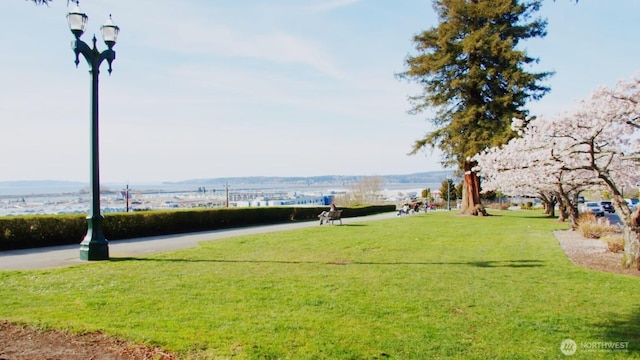 1624 Hoyt Ave Unit 1 & 2, Everett, WA 98201 - photo 32