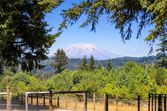 23706 NE W H Garner Rd, Yacolt, WA 98675 - photo 3