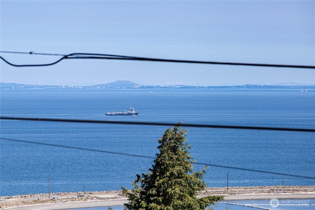 1421 W 5th St, Port Angeles, WA 98363 - photo 11